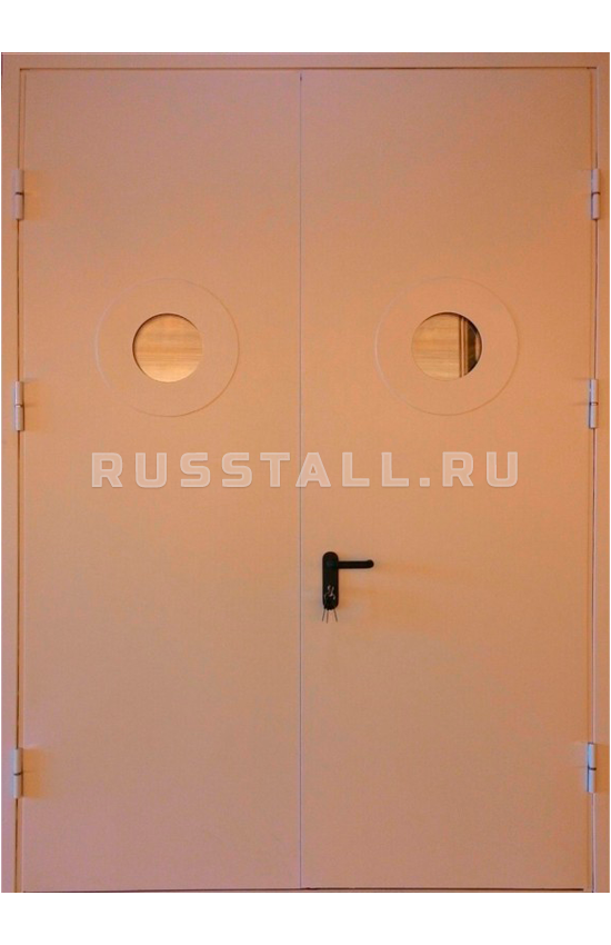 Стальная техническая входная дверь RS124