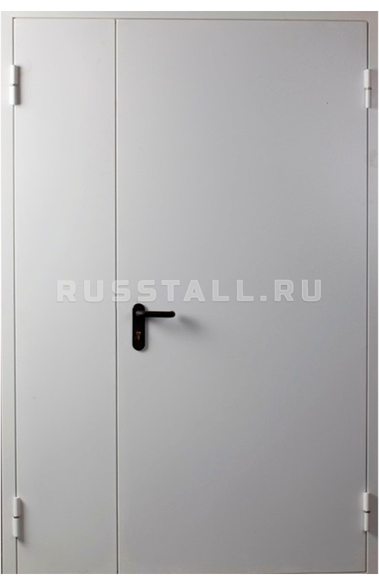 Входная двухстворчатая дверь RS129