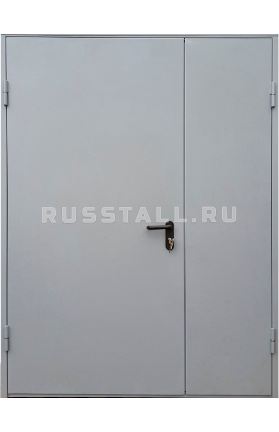 Техническая входная дверь RS126